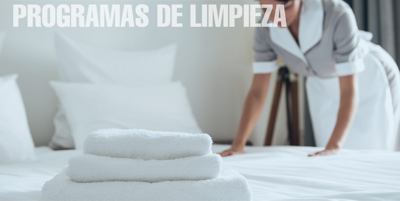 PROGRAMAS-DE-LIMPIEZA